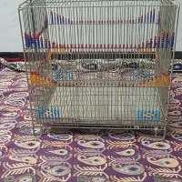 یک عددقفس