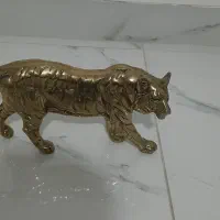 ببربرنجی