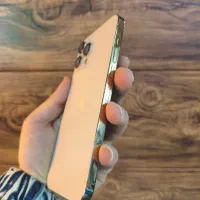 آیفون13پرومکس-256-lla-گلد|موبایل|بابلسر, |دیوار