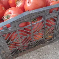 فروش ۲ متری