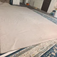 موکت ،،پالاز موکت|موکت|کرمانشاه, |دیوار