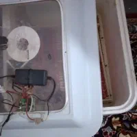 دستگاه جوجه کشی|لوازم جانبی حیوانات|مشهد, شهرک شهید باهنر|دیوار