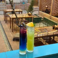 استخدام  سالندار