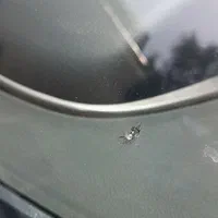 ترمیم، پولیش، سرامیک و دودی شیشه سجاد|خدمات موتور و ماشین|تبریز, |دیوار