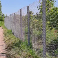 فروش باغ|فروش دفتر صنعتی، کشاورزی، تجاری|شوط, |دیوار