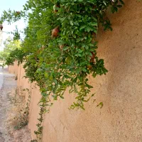 باغشهری-در-گلشهر-خان-زنیان