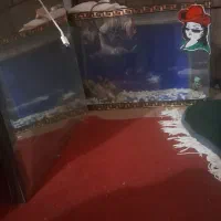 اکواریوم