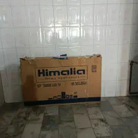 تلوزیون