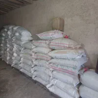 کود شیمیایی بهاره