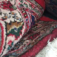 فرش دستبافت|فرش|بومهن, |دیوار