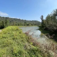 3500متر-زمین-چشم-انداز-خاص-تالاب-وجنگل-پلاک-رویایی