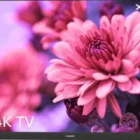 تلویزیون ۴۳ اینج هوشمند ایکس ویژن