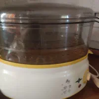 بخار پز
