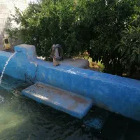 پمپ، کفکش، دینام آبکش