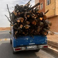خرید و فروش انواع درخت و چوب