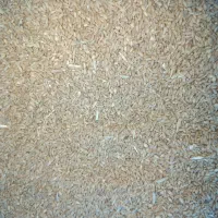 گندم کوهدشت|عمده‌فروشی|کوهدشت, |دیوار