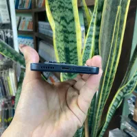 Note 14 256/8|موبایل|گلستان (تهران), |دیوار
