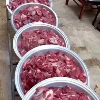 آشپزی علی بیرانوند