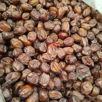 خرما خاصویی فارس|خوردنی و آشامیدنی|قم, بوستان علوی|دیوار