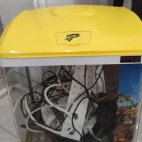 اکواریوم|ماهی|قائم‌شهر, |دیوار