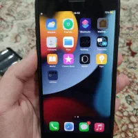 آیفون 7 پلاس|موبایل|بستک, |دیوار