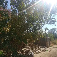 زمین 330متری خیابون اصلی دوکله روستای سخوید|فروش زمین و ملک کلنگی|نیر (یزد), |دیوار