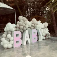 جشن تعیین جنسیت تخصص ماست صفر تا صد