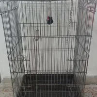 قفس پرنده