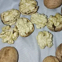 گردو با گردو فرق می‌کنه ،همه گردوها مثل هم نیستند