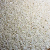 برنج نیمداته هاشمی آستانه اشرفیه|خوردنی و آشامیدنی|تهران, اکباتان|دیوار