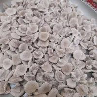 کشک چدنی درجه یک  بیرجندی