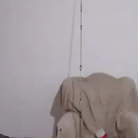 چوب لنسر بشکنی مفتی ببر