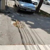 پژو ۴۰۵