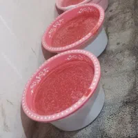 آب گیری گوجه و انگورکیلویی ۲۵۰۰