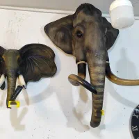 دیوارکوب و دکوریجات خاص