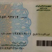 شناسنامه به اسم شبنم نادری