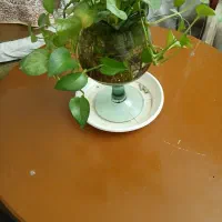 میز گرد