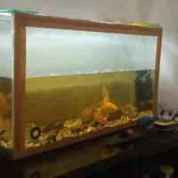 اکواریوم بزرگ