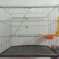 قفس پرنده