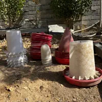 دان خوری و آبخوری مرغ و بوقلمون