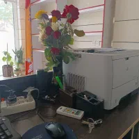 نیروی کار در کافینت