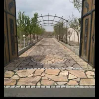 اسلپ