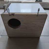 لونه عروس هلندی .فنج.مرغ عشق.کوتوله