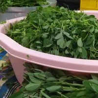 خوردنی سبزی خورشتی|خوردنی و آشامیدنی|کوهدشت, |دیوار