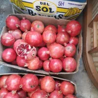 انار قرمز شیرین صادراتی|خوردنی و آشامیدنی|قم, سرحوض|دیوار