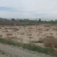 زمین مناسب باغچه ۱۰۰۰ متری|فروش زمین و ملک کلنگی|اسلامشهر, کاشانک|دیوار