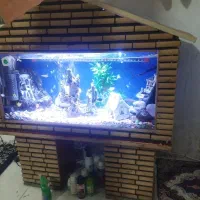 وسایل|ماهی|قدس, شهر‌قدس|دیوار