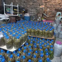 خیار شور
