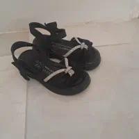 کفش درحدنو|کیف، کفش، کمربند|زنجان, |دیوار