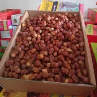 خرما زاهدی درجه یک